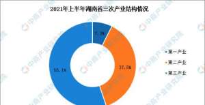 2021年上半年湖南经济运行情况分析：GDP同比增长11.7％（图）