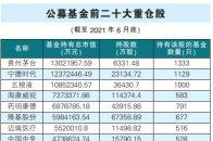 基金重仓股变化折射时代变迁 宁德时代晋升为公募基金第重仓股