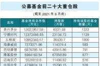 基金重仓股变化折射时代变迁 宁德时代晋升为公募基金第二大重仓股