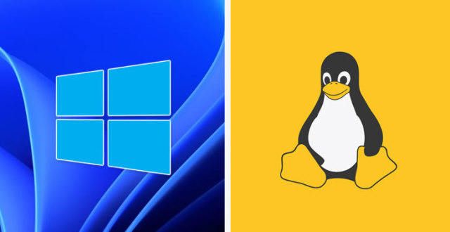 Windows 11和 Linux 漏洞赋予攻击者系统权限