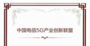 神州泰岳加入“中国电信5G产业创新联盟”，将在5G推进数字化改革