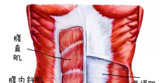 产后瘦不下来是腹直肌的问题？怎么自测？