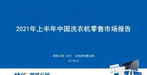 2021年半年度中国洗衣机市场总结报告