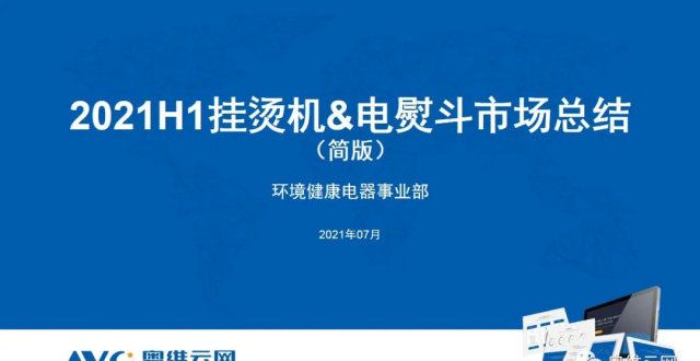 2021H1挂烫机、电熨斗市场总结报告