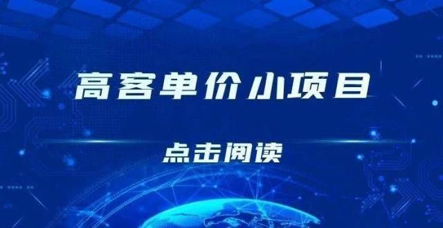 高客单价项目，适合新手操作的网络项目