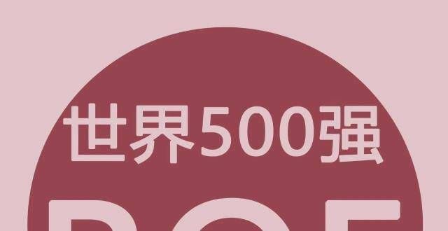 2021年《财富》世界500强净资产收益率的50家公司