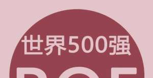 2021年《财富》世界500强净资产收益率最高的50家公司