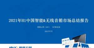 2021年H1中国智能音箱市场总结报告