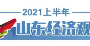 山东经济发展有哪些新态势？探微“税收指数”