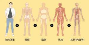 你真的没胖，是体重秤在“撒谎”！称体重时，别犯这4个错