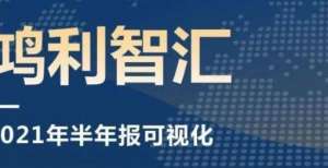 一图看懂鸿利智汇2021半年报