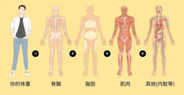 你没胖，是体重秤在“撒谎”！称体重时，别犯这4个错