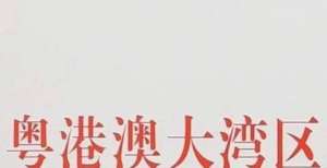 和走势如何建设高质量湾区 湾区经济论坛各企业代表建言献策CPI同比