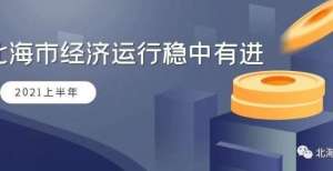 利同比上涨上半年北海市经济运行稳中有进：实现“三个领先、三个向好、三个加强”克拉克