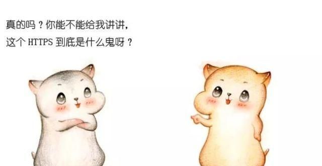 纷下场造芯漫画：什么是 HTTPS 协议？科技公