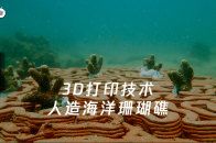 能源的未来3D打印技术的高光时刻：如何拯救濒危的海洋生物？新颖的