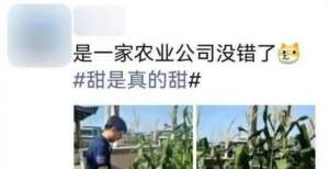 主要干什么刷软件园员工朋友圈，原来他们这样工作与生活！前端开