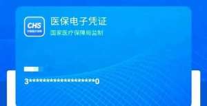 有光的赛道2022年将全国通用的凭证都能用拥有直