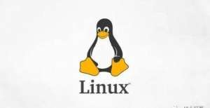 讲讲的作用Linux新手入门系列：Linux图形界面面试官