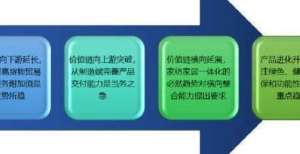 链未来发展2021-2027年家纺服饰行业细分市场调查及投资前景预测报告虎符国