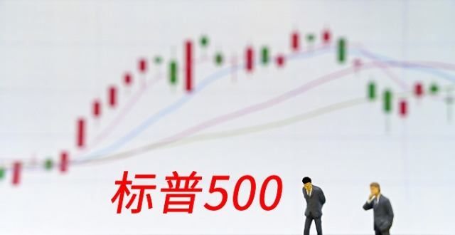 标准普尔500指数再次创下历史新高，这些股票引领了美国股市今年的历史性反弹