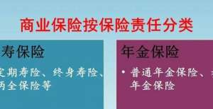 大病和意外险是一种按年支付的消费型保险，还是多年后偿还本金的回报型保险？