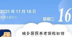 【人社日课&11月16日】城乡居民养老保险如何进行转移接续？