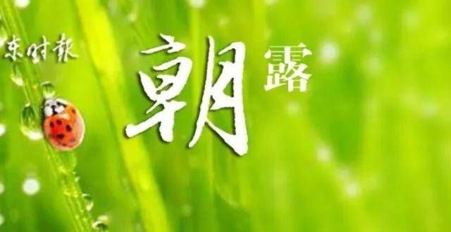 手快乐起跑气温继续下降 下周雨多晴少！家乐福会员店将于22日开业！桃醉平