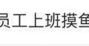 人社交软件通报处罚员工上班“摸鱼”冲上热搜！国美回应罗永浩