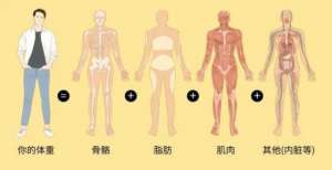 的不良体态你真的没胖，是体重秤在“撒谎”！称体重时，千万别犯这四个错！每天坚