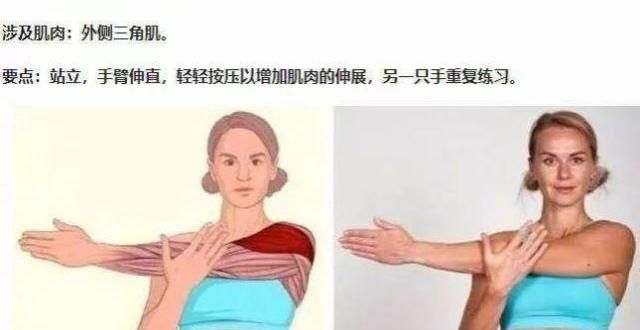 拉伸动作3D图解，拯救你的腰酸背痛！