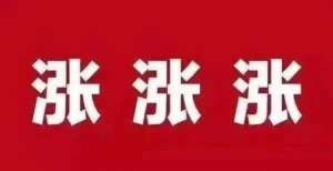 的市场风险后市看涨“地炼”0号柴油最高涨100元/吨，呈现汽跌柴强棉花期