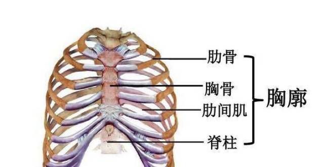 来全新感受学唱歌明白这些道理，让你少走弯路唱响中