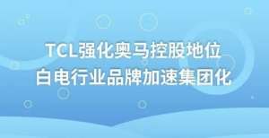 个季度盈利TCL强化奥马控股地位：白电行业品牌加速集团化活跃用