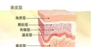 厌的气垫烫皮肤基础知识及各类皮肤护理重点！百看不