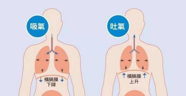 要玩把的唱歌为什么要训练横膈膜，如何训练？蒜涛