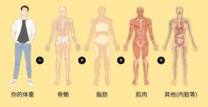 腹肌马甲线你称出来的体重有可能是错的！称体重时，千万别犯这四个错居家腹