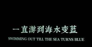 水变蓝首映贾樟柯导演新作武汉站首映，和我们一起“游到海水变蓝”贾樟柯