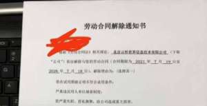 的传言不实突然收到公司裁员的消息，整个人都懵了。美菜被爆大规模裁员滴滴北