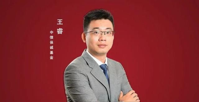 管理亿美元中信保诚基金王睿：以3年翻倍为目标，寻找有保护的成长股全球第