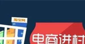 级刻不容缓桐城市入选全国电子商务进农村综合示范县青木科