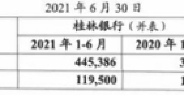 问题及建议桂林银行上半年净利润增6.6％ 信用减值损失15亿增41％函证新