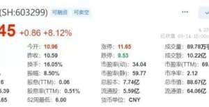 融数据发布苏盐井神收涨8.12％，现报11.45元上海月