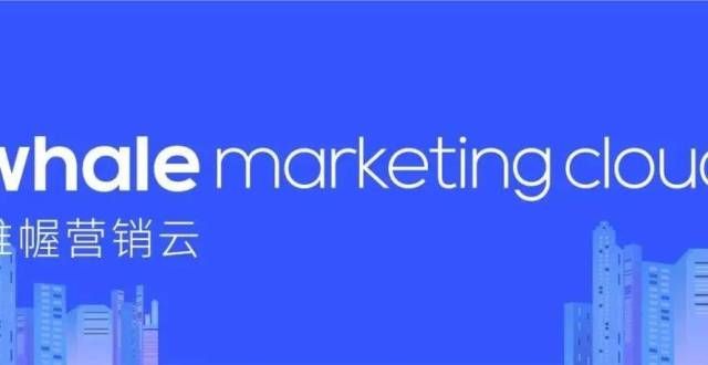 亿元轮融资高质量数字化营销，Whale Marketing Cloud如何主导？技术劳