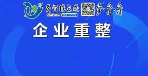 率直接降为申报债权323余亿元！菏泽一民企集团等29家企业合并重整案！园区注