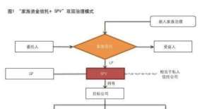 府补助万元传承视角下家族信托结构与治理平高电