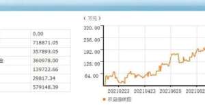 期货站上元第305天：铁矿石这是准备涨了吗？贵金属