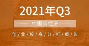 向全真互联IT桔子:2021年Q3中国新经济创业投资分析报告自由视