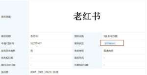问华兴交易小红书注册老红书商标被驳回，网友：等老了改名兰丁股