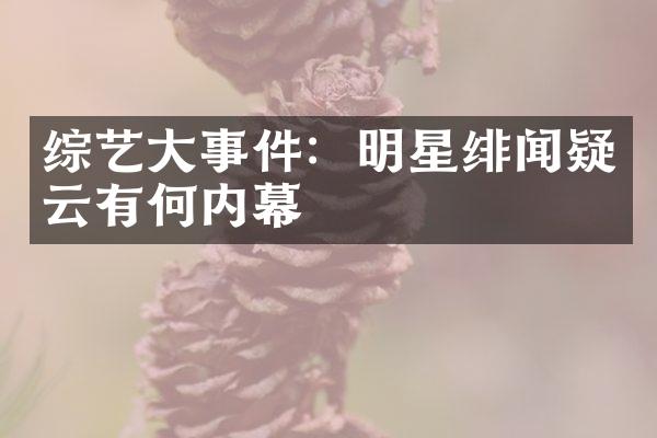 综艺大事件：明星绯闻疑云有何内幕